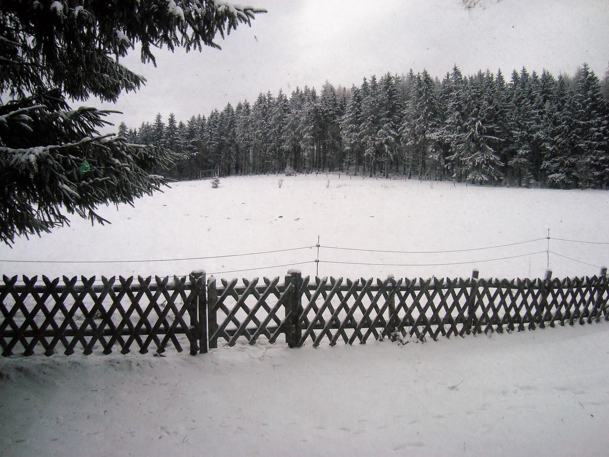 Ferienhaus Beja Winterberg Ngoại thất bức ảnh